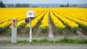 South Carolina Man Convicted of Murdering Rural Carrier is Sentenced to Life in Prison